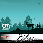 22. September 2007 @ Bliss, Ultra Lounge