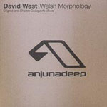 Cover: David West - Welsh morphology