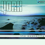 Cover: York - The awakening